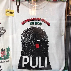 Yup. Hungary's breed!! #dogs #tshirt #puli #budapest #travel #hungary
