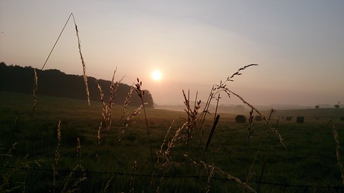 summer sun field sunrise countryside wheat grain luxembourg xperia xperiaz