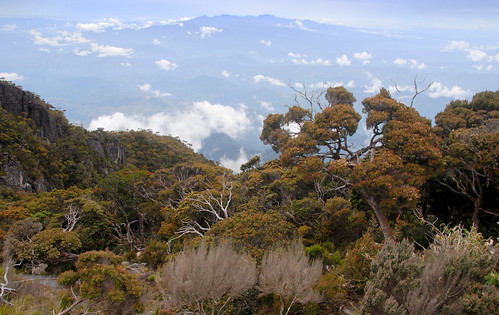 mountains landscape high flora asia southeastasia south east alpine malaysia borneo elevation range sabah crocker 婆罗洲 보르네오섬