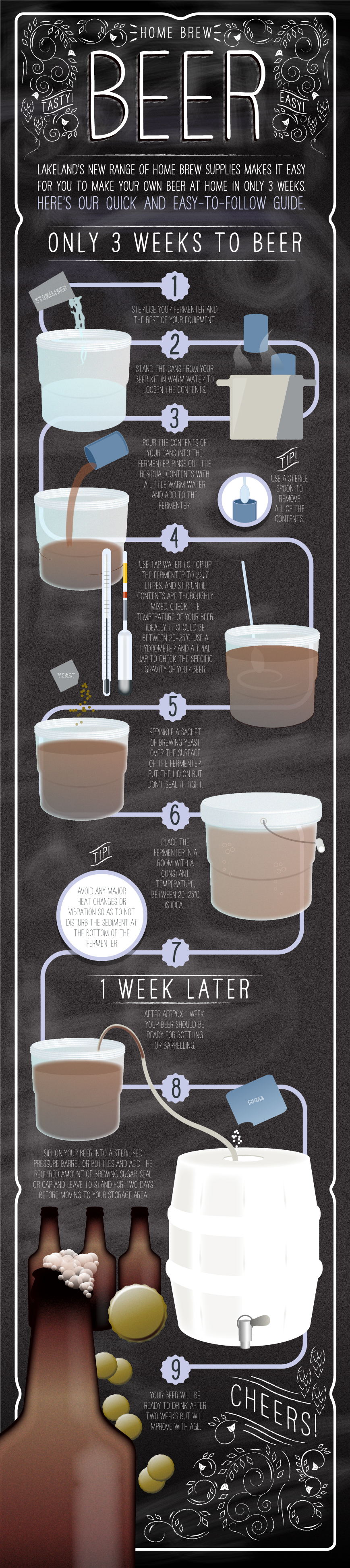 homebrew_beer_infographic
