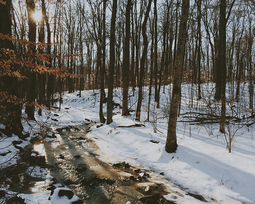 white snow nature water beauty forest sunrise river landscape photography reflecting woods bare bones flowing bastille oblivion iphone courtneysinclair vsco iphoneography vscocam