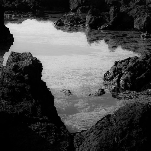 blackandwhite bw reflection water monochrome square hawaii lava blackwhite nikon rocks shoreline shore 74 73 shallows explored d5000 noahbw