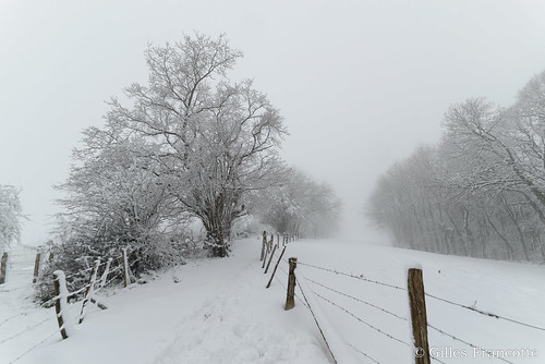 2016 january janvier coutryside grassland hiver landscape landschap neige noature ourtdoor paysage sneeuw snow white winter nikon nikonpassion
