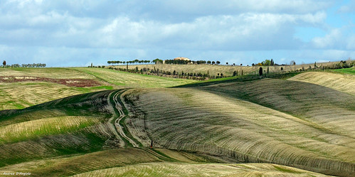 hill valdorcia landscape tuscany nature grass waves farm trees clouds unesco path road triboli