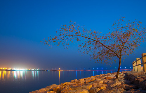 longexposure nightphotography blue nature landscape lights postcard bluehour saudiarabia