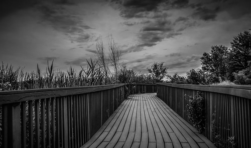 park las vegas white black clouds canon landscape nevada walkway wetlands t3i 600d