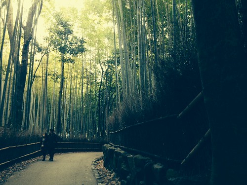 winter sunset japan forest kyoto cloudy path bamboo lovers arashiyama iphone snowshowers