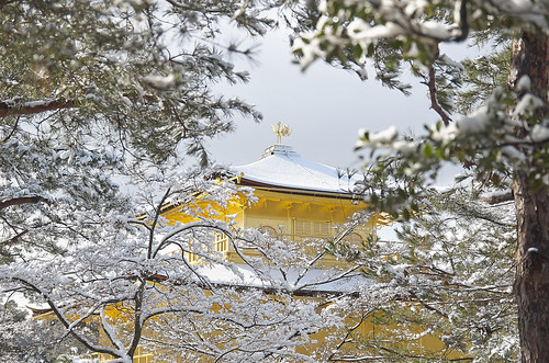 【写真】2014 雪 : 金閣寺/2020-07-05/IMGP4941