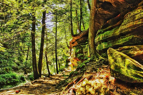 ohio summer nature forest canon rocks hiking august trail hdr hockinghills wooded ashcave hdrefex snapseed uploaded:by=flickrmobile flickriosapp:filter=nofilter
