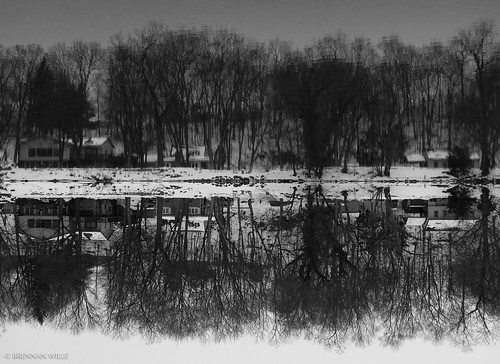 winter conodoguinet conodoguinetcreek 2017 march pennsylvania pa camphill water creek reflection blackandwhite bw trees inverted flipped symmetry brennanwille canonpowershotg12 snow winterstormstella noreaster nature landscape river cumberlandcounty 717 cold ice gray