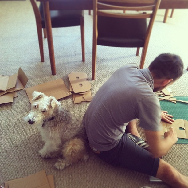 Crafting companions, literally joined at the hip. #circedog