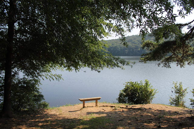 A quiet bench at Holliday Lake State Park, Virginia