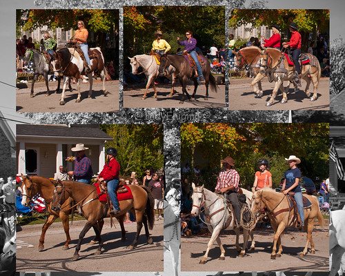 people horse fall festival indiana parade versailles rider equine polytych versaillespumpkinshow