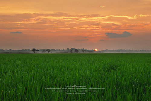 sunset malaysia langkawi padi kedah padifield langkawiisland sunsetatpadifield