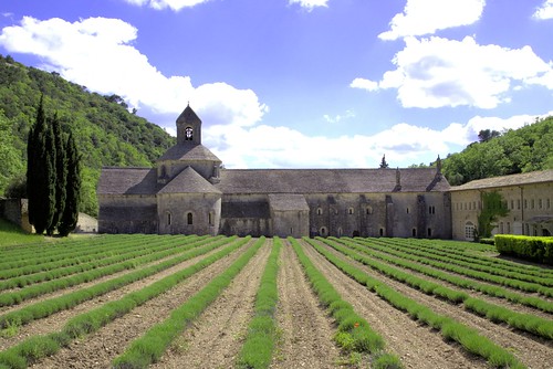 chiesa francia borgo paesaggio provenza lavanda abbazia senanque