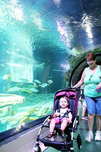 Sea Life Aquarium