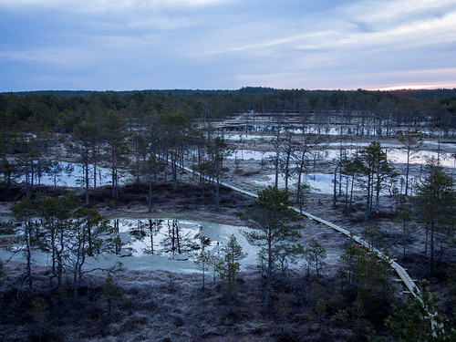 estonia bog wetland viruraba kolga harjucounty