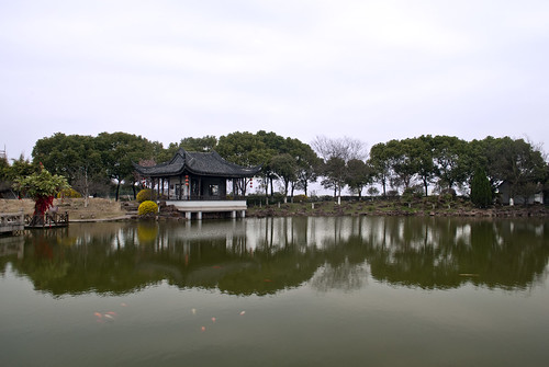 china park urban lake building tree architecture buildings asian temple town pond shrine asia village shanghai chinese charms eastasia tongli eastasian chinesearchitecture