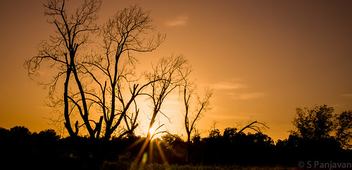 sunset sky sun tree silhouette texas unitedstates deadtree hdr corsicana