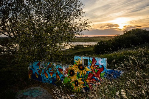 sunset summer canada painting graffiti north ruin shore alberta sunflower biglake sturgeoncounty