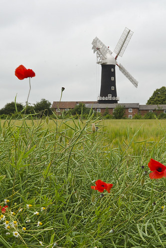 nikon nikonafs1755mmf28g skidby windmill field poppy poppies landscape beverley eastyorkshire yorkshire uk 2013 nikond7000 d7000