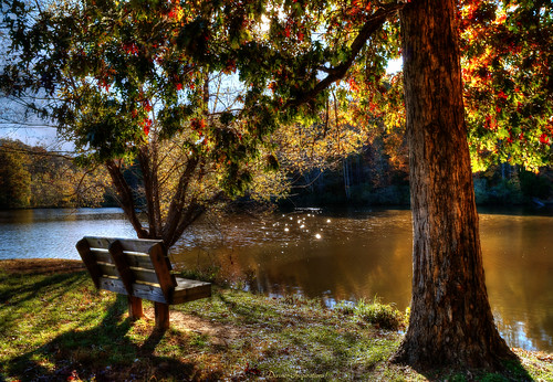 autumn trees sun lake fall water bench shade hdr