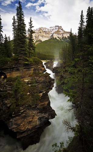 trees mountain canada water rockies waterfall jasper canadian falls jaspernationalpark athabascafalls
