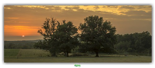 monfaucon dordogne périgord pourpre tree arbre landscape paysage sunset coucher coleil agnèsobel