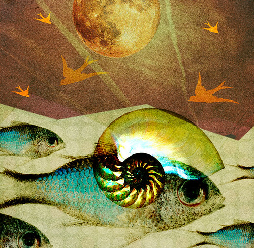 music fish abstract color art english rock collage digital project lost photo lyrics big artist arty coldplay journal band shell surreal blues manipulation indie deviant 365 concept songs