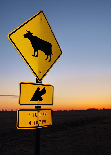 sunset sign michigan farm clintoncounty cowcrossing