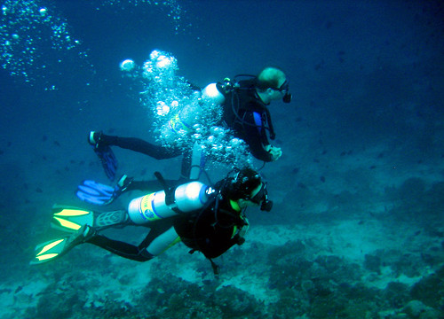 underwater diving maldives photoshop7 mdv ariatoll angaga canonixus70 tritonthila diverswet