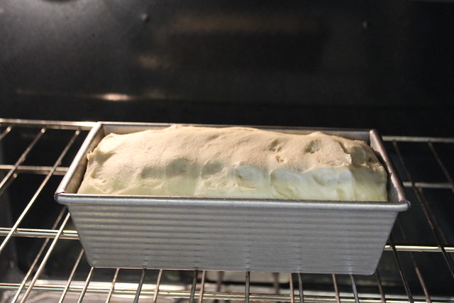 Gluten Free Bread Starting to Rise in Oven