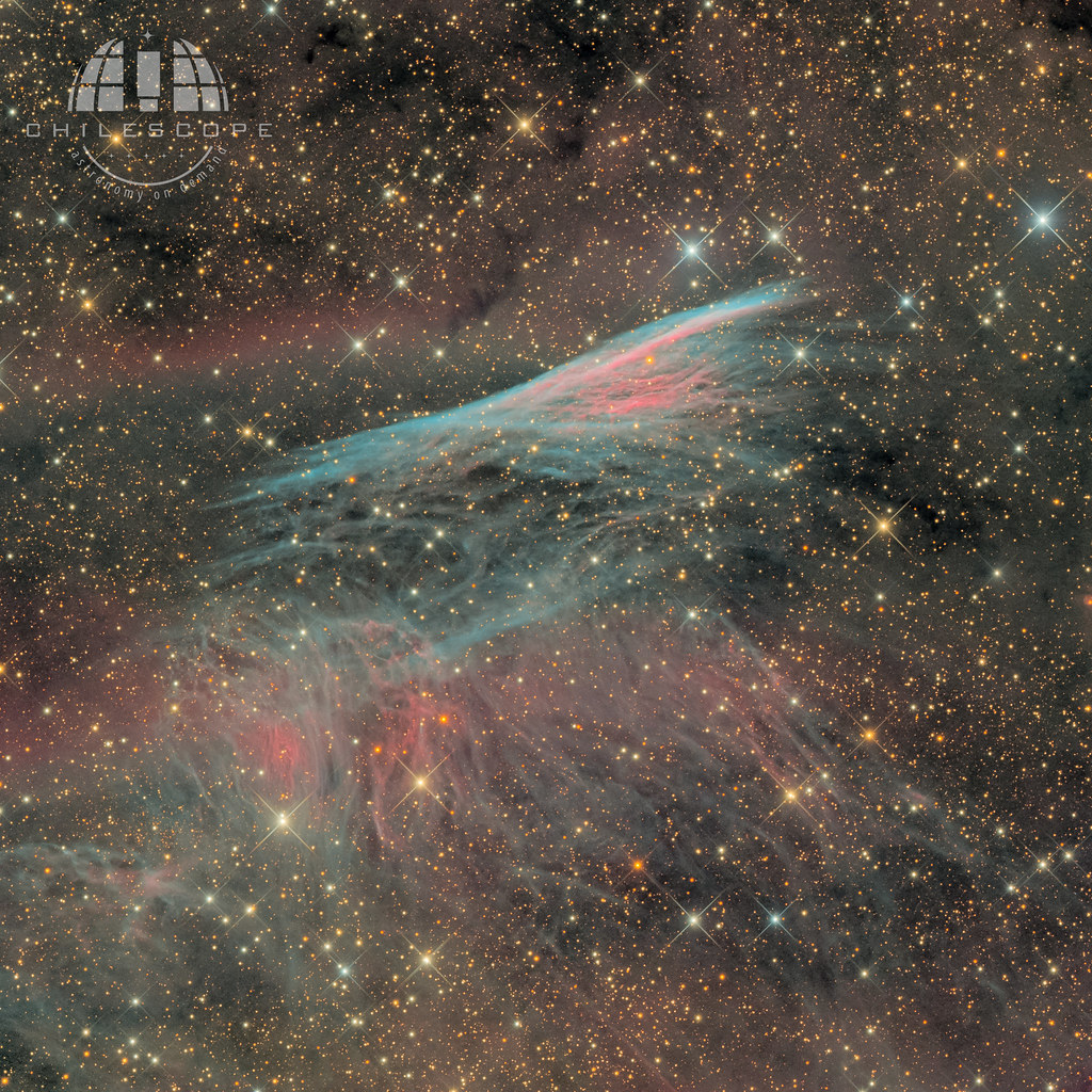 NGC2736 (Pencil Nebula) RCW37 w/0.5 meter Chilescope (crop)