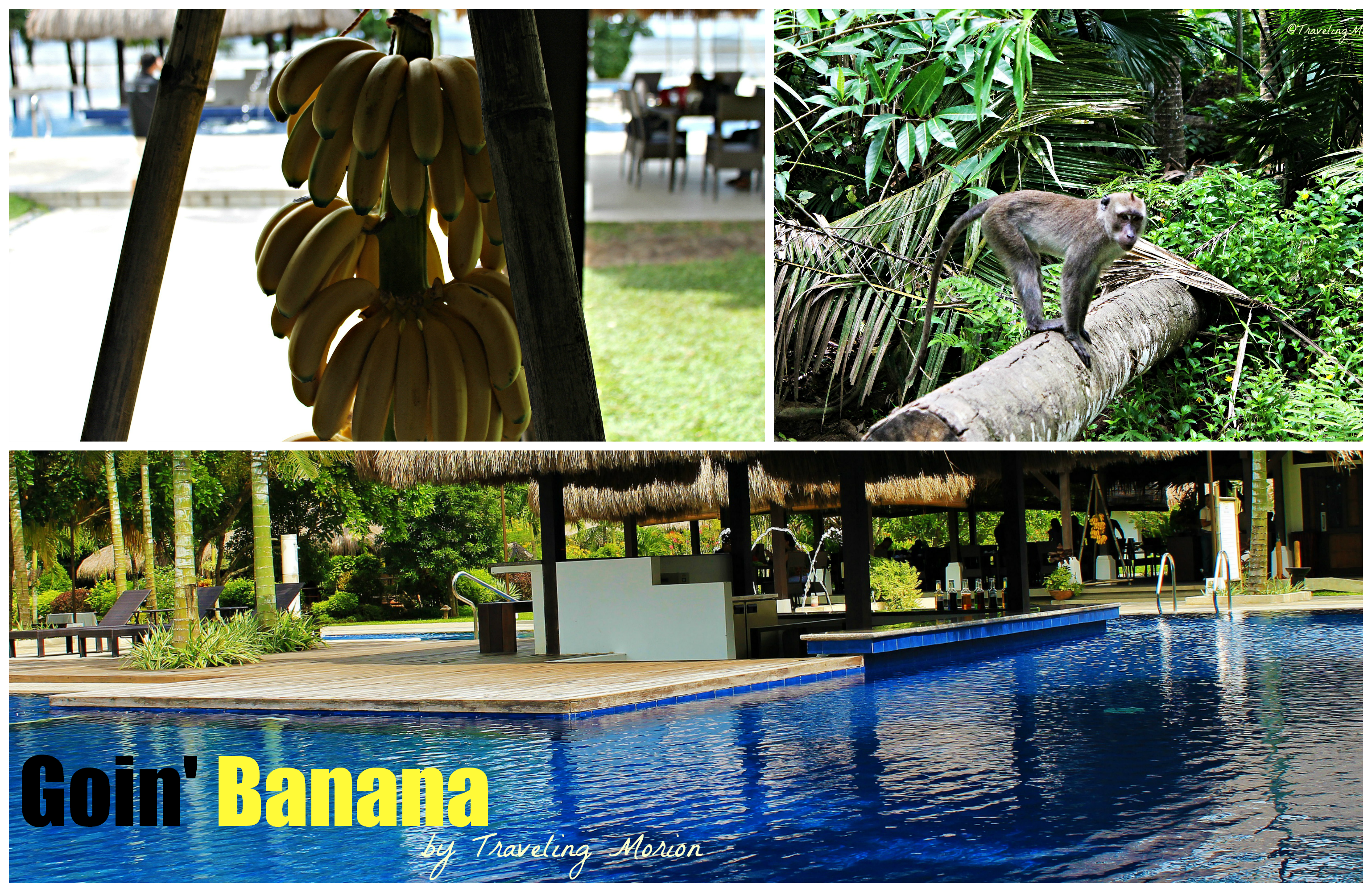 Banana Beach Resort