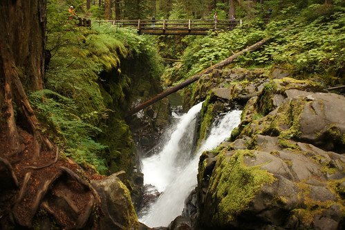 trip travel vacation holiday nature creek outdoors waterfall washington hiking olympicnationalpark solducfalls