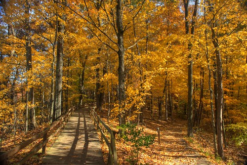 county autumn trees sky lake color fall yellow october trails indiana morgan 2014 morgancounty