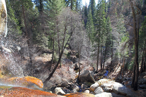 california nature outdoors ponderosa sequoianationalpark nobeyoungfalls