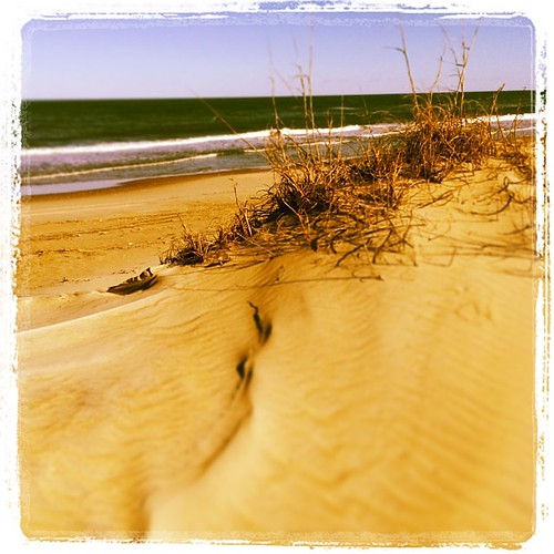 winter beach sand dunes kelvin atlanticocean beachgrass 2014 capehatterasnationalseashore iphoneography ramp30