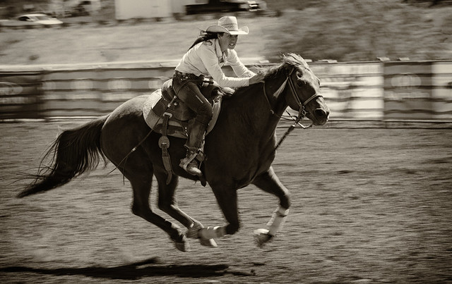 Horse and Rider in B&W