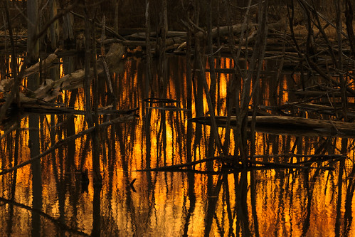 millenniumparktrail goldenhour sunset kalamazoocounty reflection winter portage outdoor unitedstates evening swamp michigan us explored