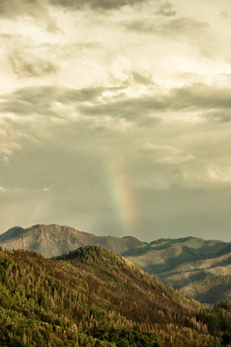 white mountain newmexico rain clouds forest rainbow afterthestorm wilderness