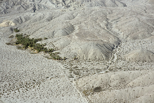 california nature desert palm oasis sanandreasfault coachellavalley fault geology sanandreas aerialphotograph coachellavalleypreserve riversidecounty indiohills banningfault willispalms