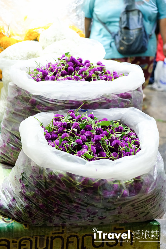 曼谷帕空花市 Pak Khlong Talat Flower Market (13)