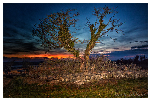 nendrummonastery comber strangfordlough ruins stpatrick monastery sunset canon7dmkii landscape northernireland orange blue roundtower tree maheeisland