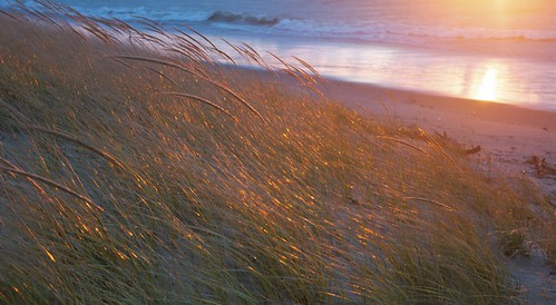 november autumn sunset fall beach sand waves colours wind shoreline windy gale lakehuron beachgrass