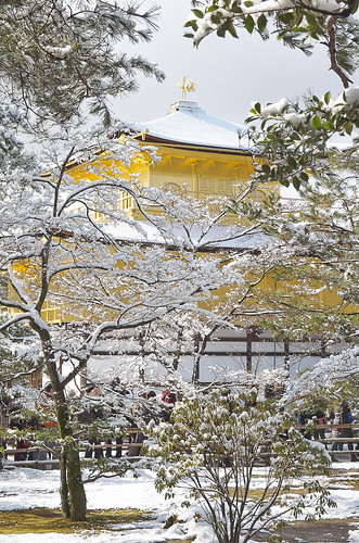 【写真】2014 雪 : 金閣寺/2020-07-05/IMGP4939