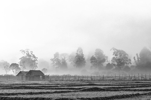 blackandwhite bw india nature monochrome fog canon landscape landscapes wildlife foggy sanctuary mothernature wayanad foggymorning incredibleindia wayanadwildlifesanctuary canon600d canonrebelt3i