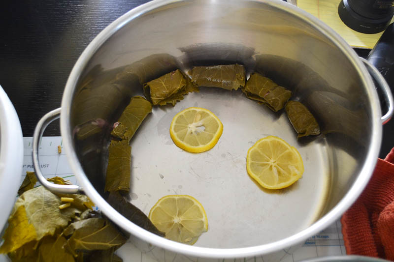 Lay grape leaf rolls along the bottom of a pot layered with lemon slices.