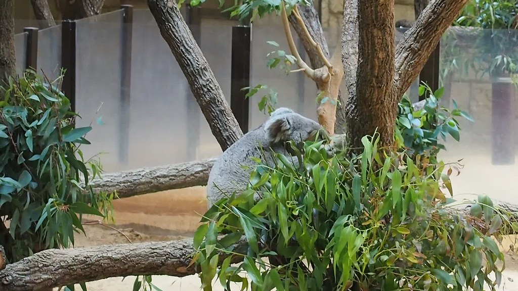 2017年5月3日東山動植物園