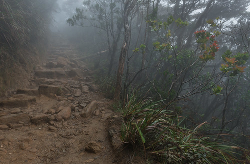 fog landscape geotagged malaysia borneo mountkinabalu sabah mountkinabalutrail